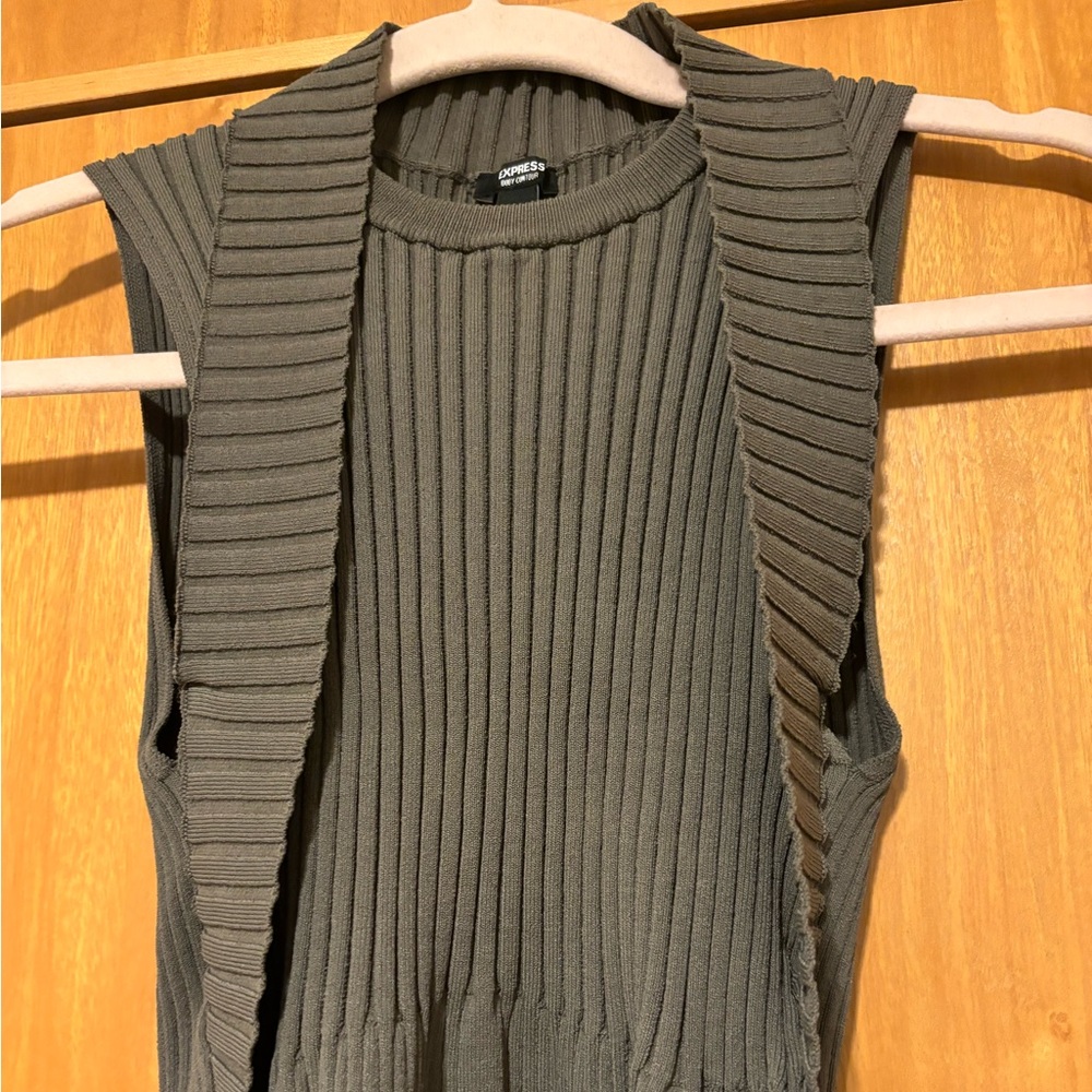 EUC Express sleeveless sweater